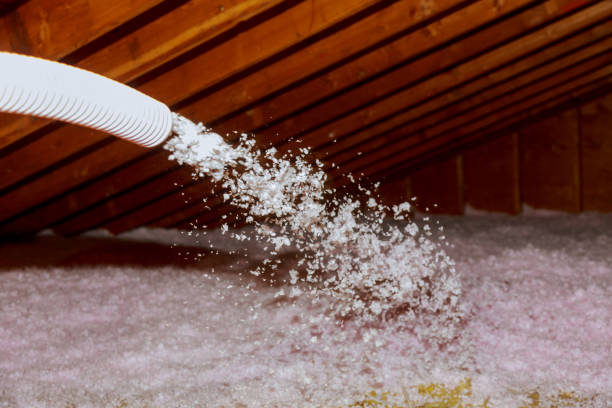 Best Insulation Installation Services in Robbins, IL