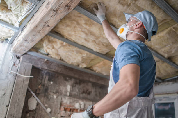 Best Residential Insulation in Robbins, IL